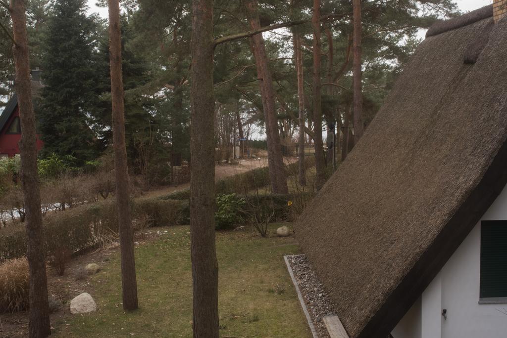 Reetdach-Ferienhaus In Quilitz Rankwitz Ngoại thất bức ảnh